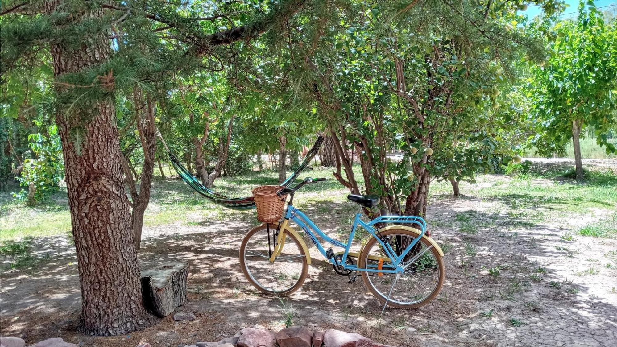 Aire de Barreal Hostel Andino Extérieur photo