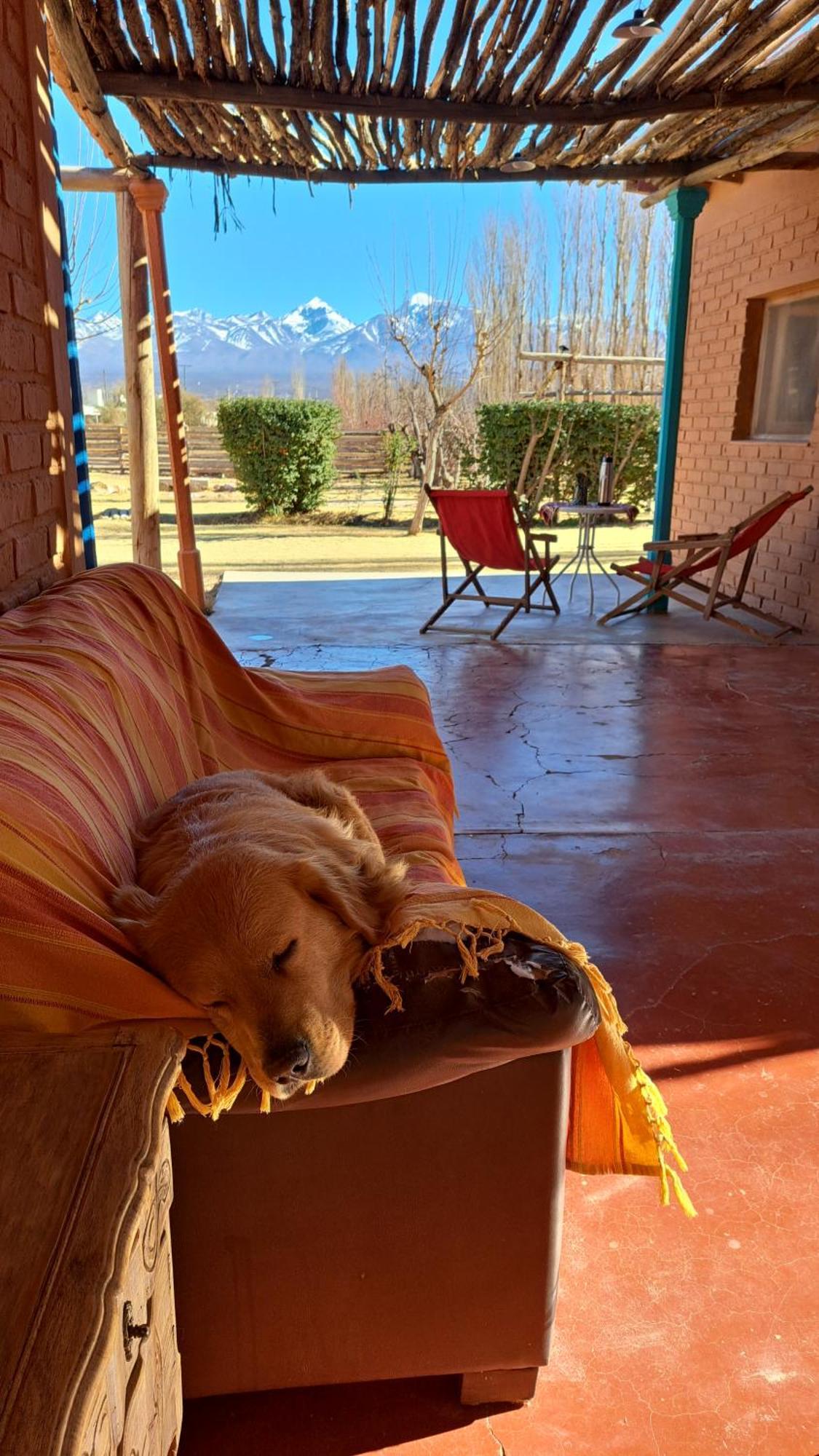 Aire de Barreal Hostel Andino Extérieur photo