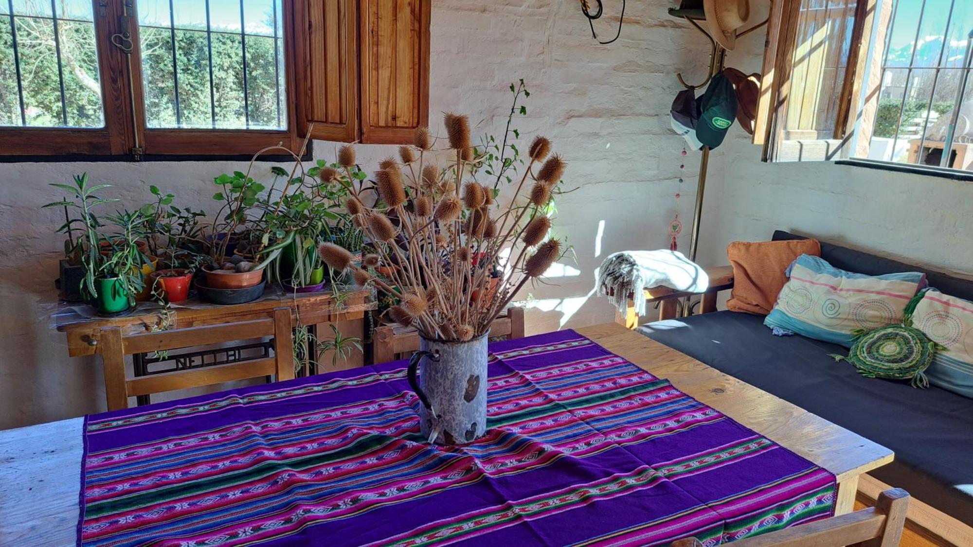 Aire de Barreal Hostel Andino Extérieur photo