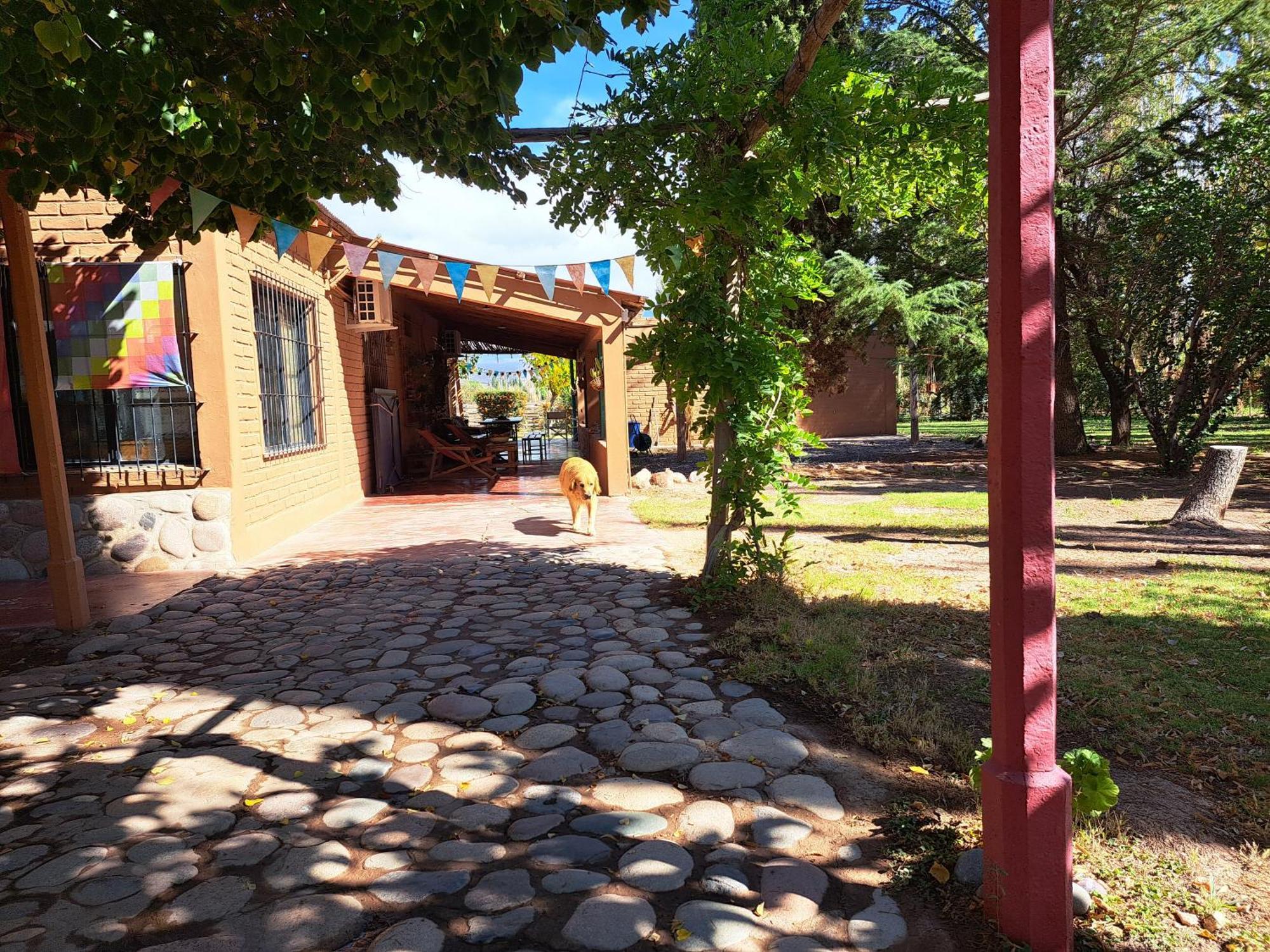 Aire de Barreal Hostel Andino Extérieur photo